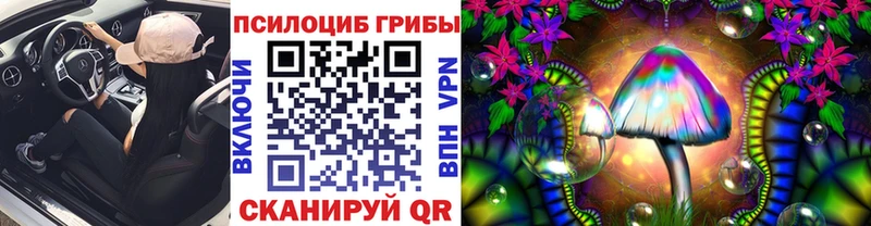 Псилоцибиновые грибы GOLDEN TEACHER  где можно купить наркотик  Сосновоборск 